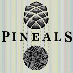 pineals